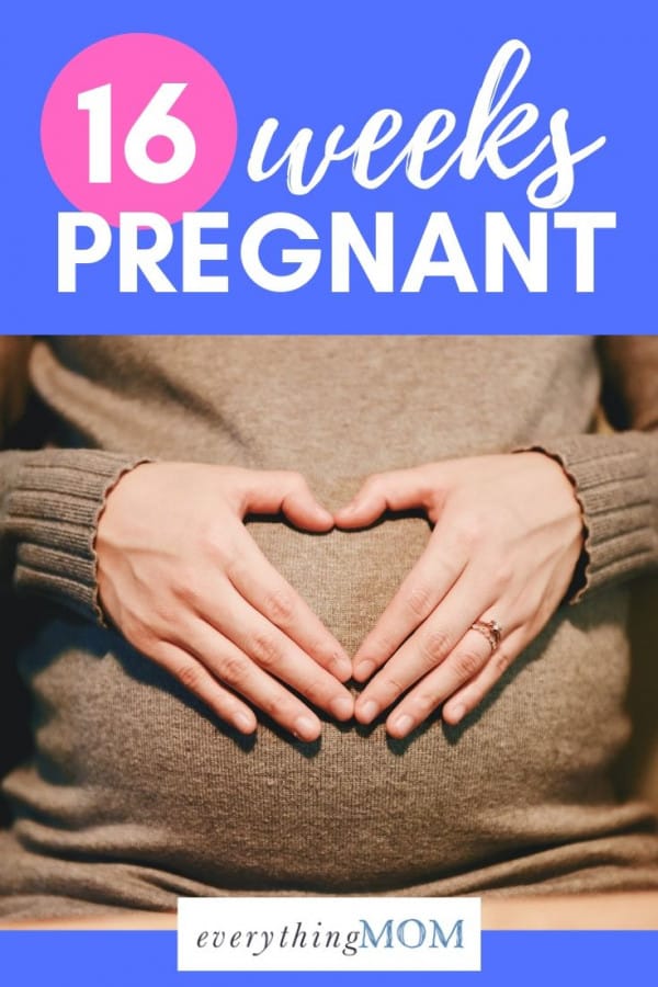 16 Weeks Pregnant Pregnancy Exercise EverythingMom