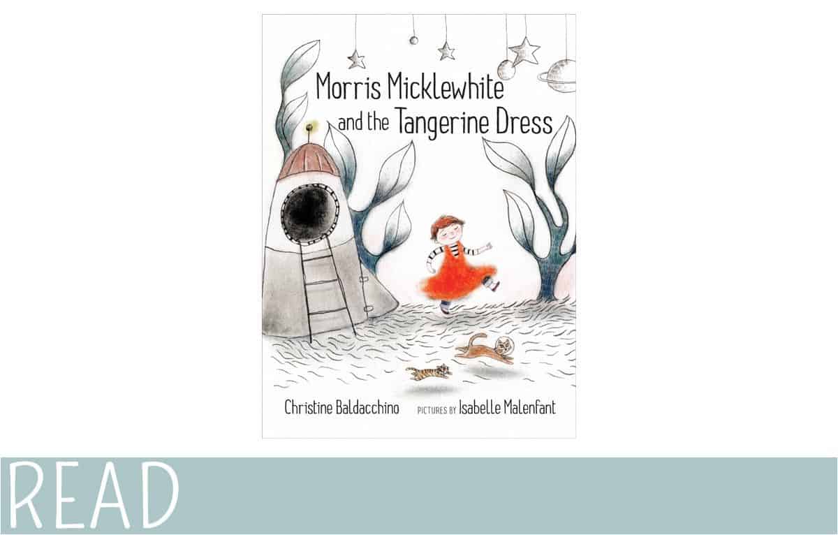 Books for Kids Morris Micklewhite and the Tangerine Dress EverythingMom