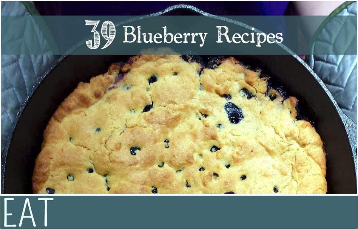 39 blueberry recipes everythingmom 39 blueberry recipes everythingmom