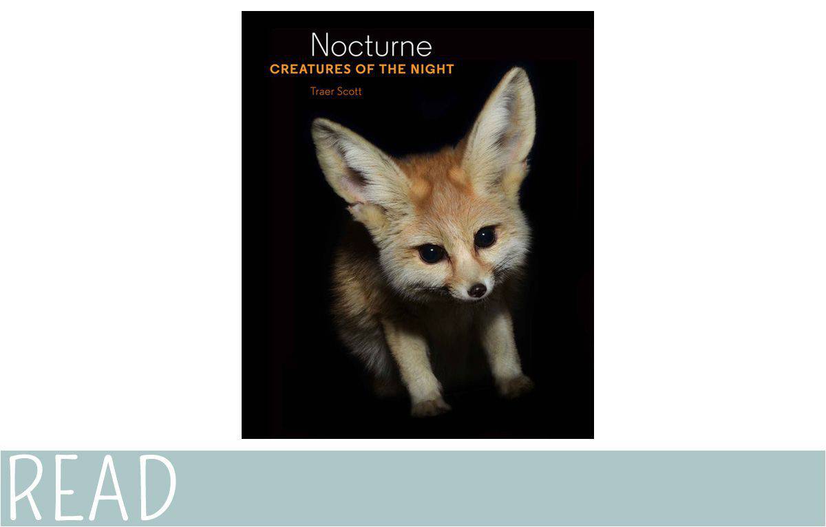 Books For Kids Nocturne Creatures Of The Night