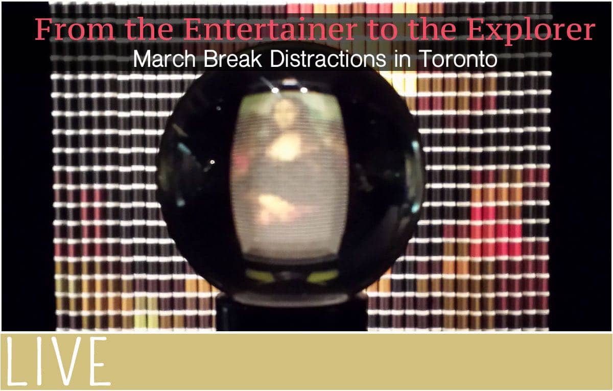 Toronto March Break Ideas for All Tastes EverythingMom