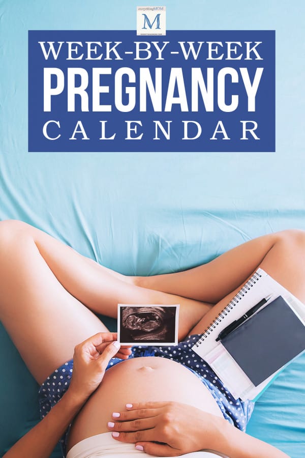 Week-by-Week Pregnancy Calendar