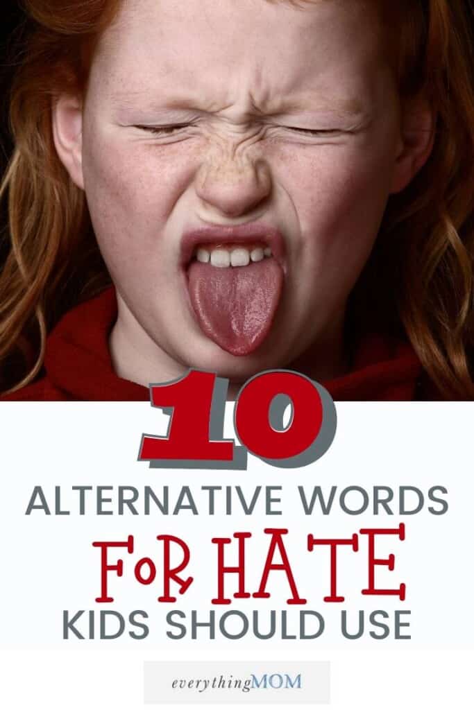 10 Alternative Words to Hate