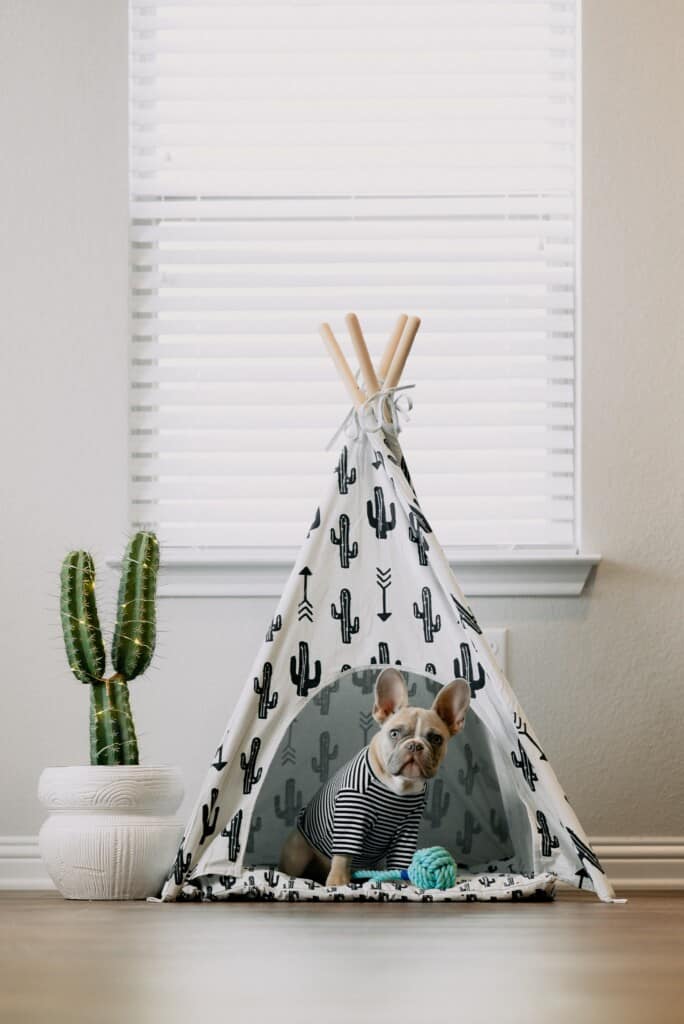 Best Dog Breeds for Kids
