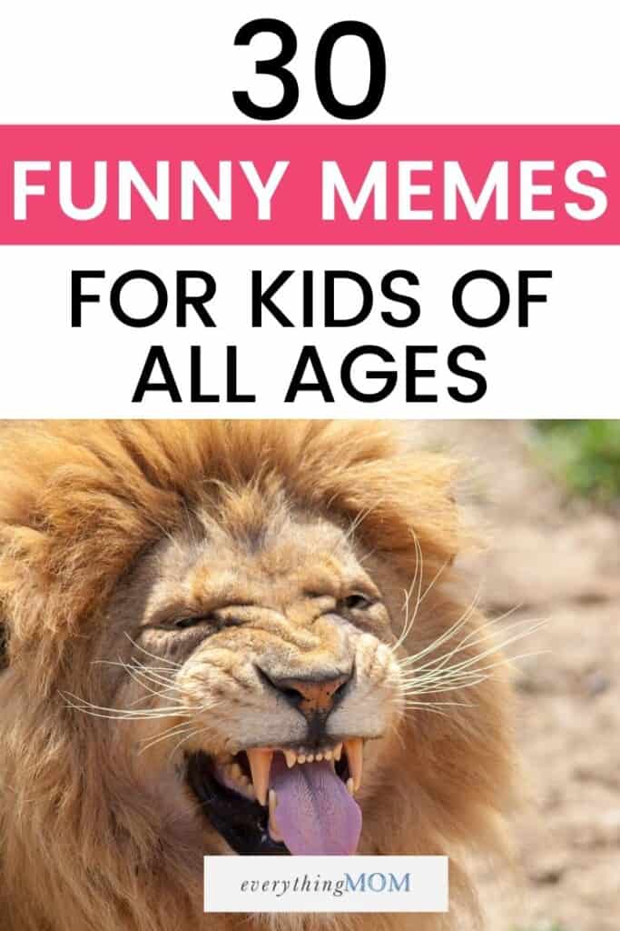 30 Funny Memes For Kids Of All Ages Everythingmom,Trump Tower Apartments Nyc
