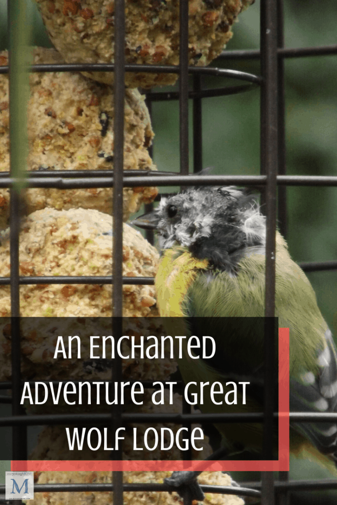 Kids Craft Ideas: Homemade Bird Feeder