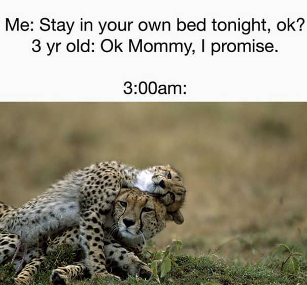 Funny Memes for Kids of All Ages