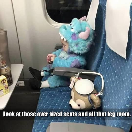 Funny Memes for Kids of All Ages