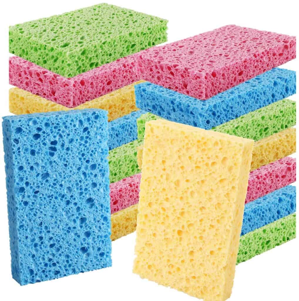 Fun Summer Activities for Kids