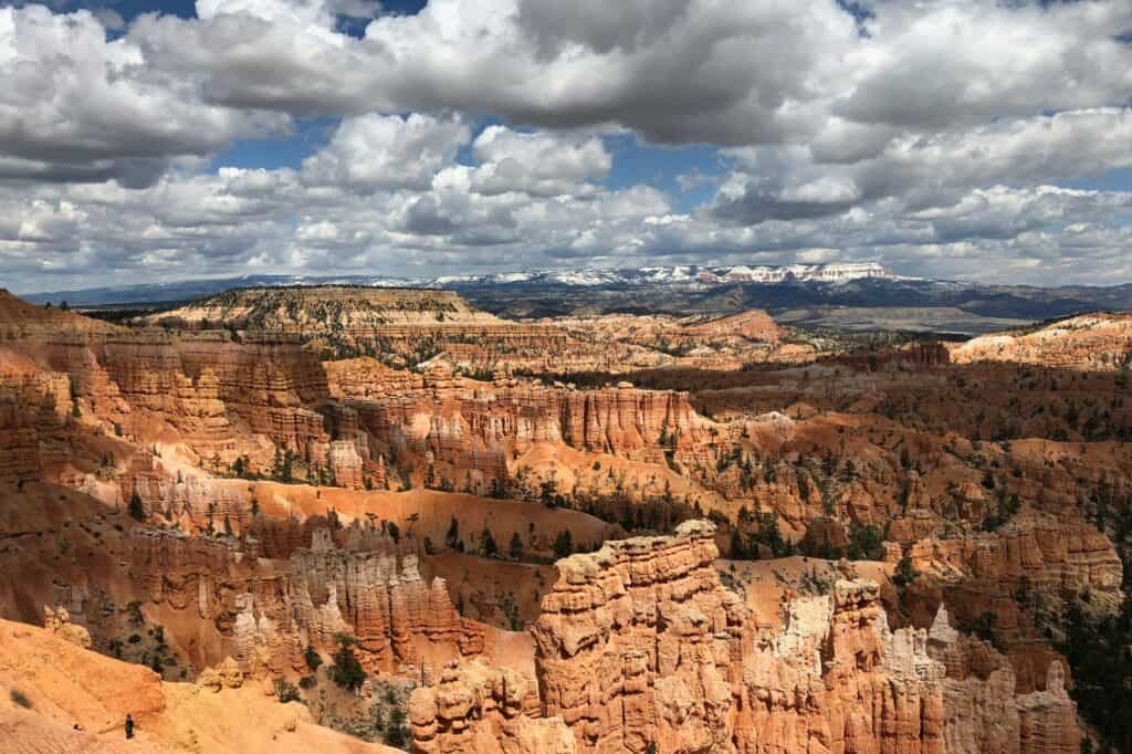 Best Vacations for Kids