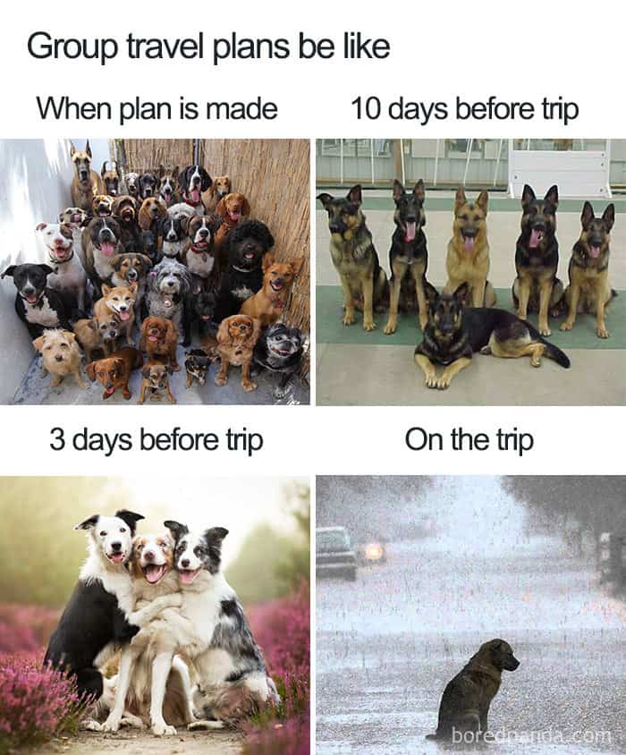 friends planning a trip meme