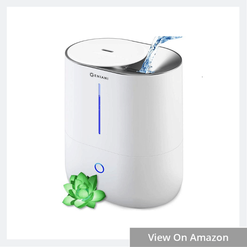 top 5 humidifiers for adults