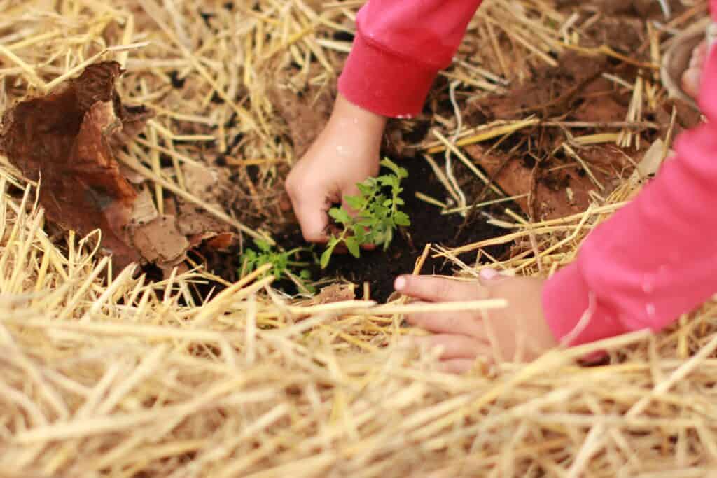 Preschool Activities You Can Do at Home