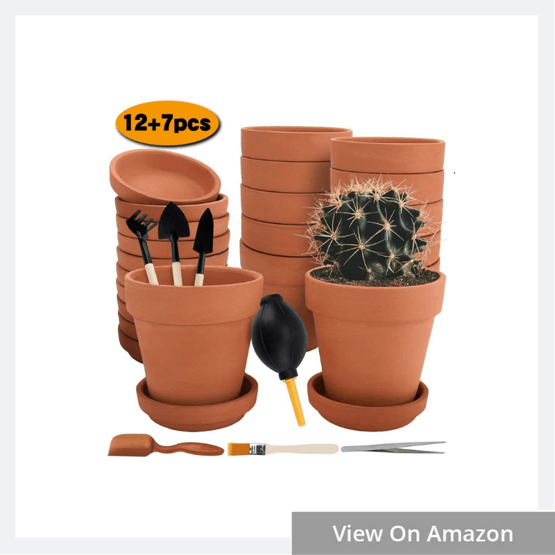 Halloween Crafts for Kids