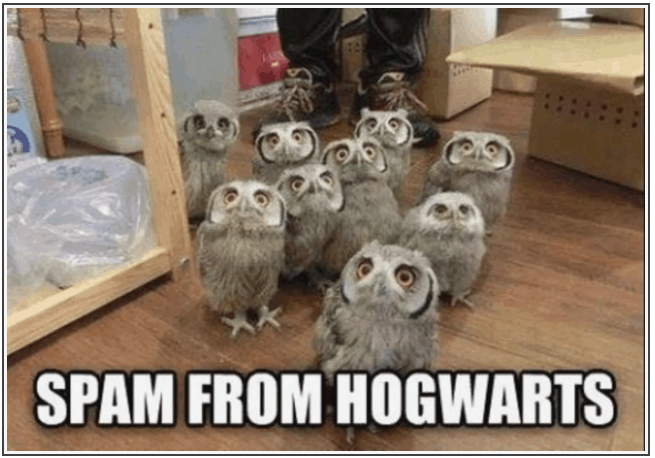 Harry Potter Memes