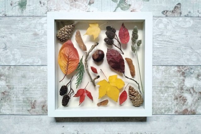 Nature Collage