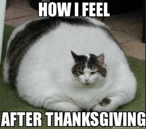 thanksgiving meme