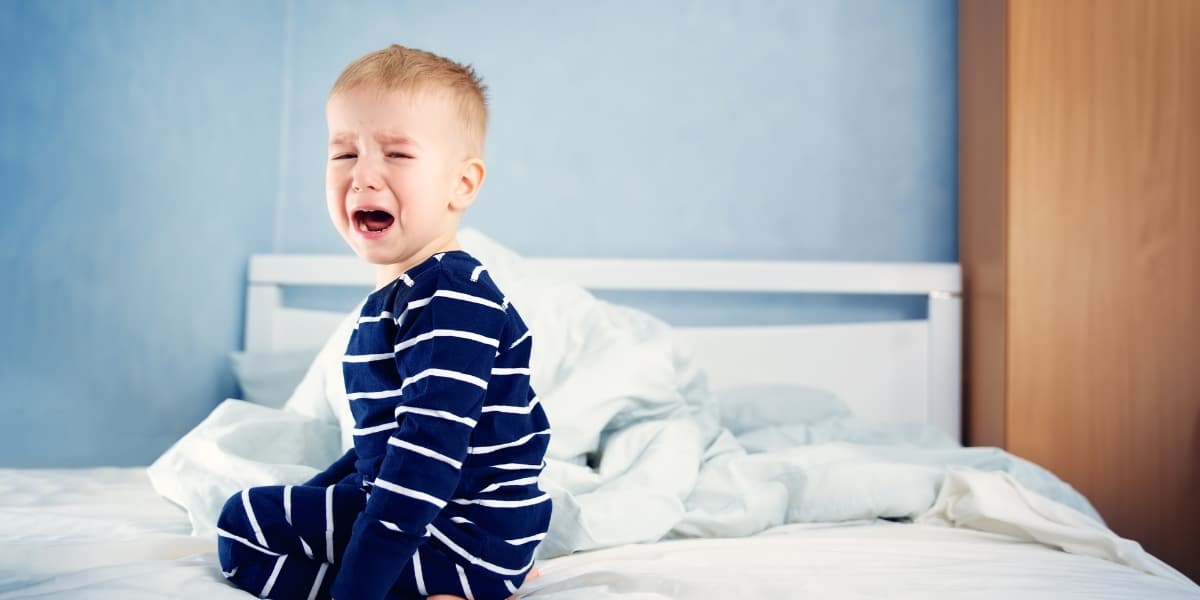 How to Potty Train a Boy? Guide for Moms EverythingMom
