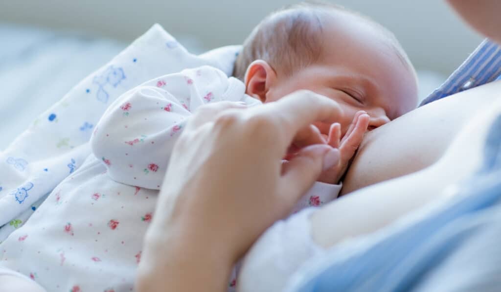 what is cluster feeding
