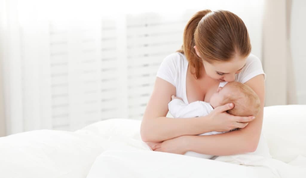 what is cluster feeding