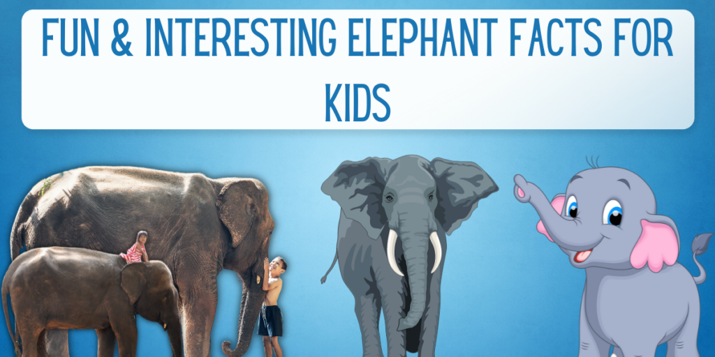 Fun & Interesting Elephant Facts For Kids