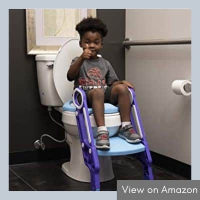 Learn Laugh Love Kids Potty Training Seat with Ladder