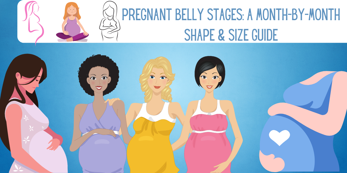 Pregnant Belly Stages Month By Month