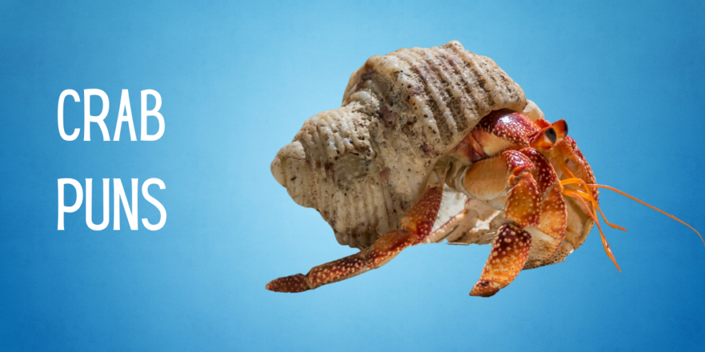 CRAB PUNS