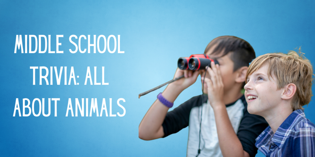 Middle School Trivia All About Animals