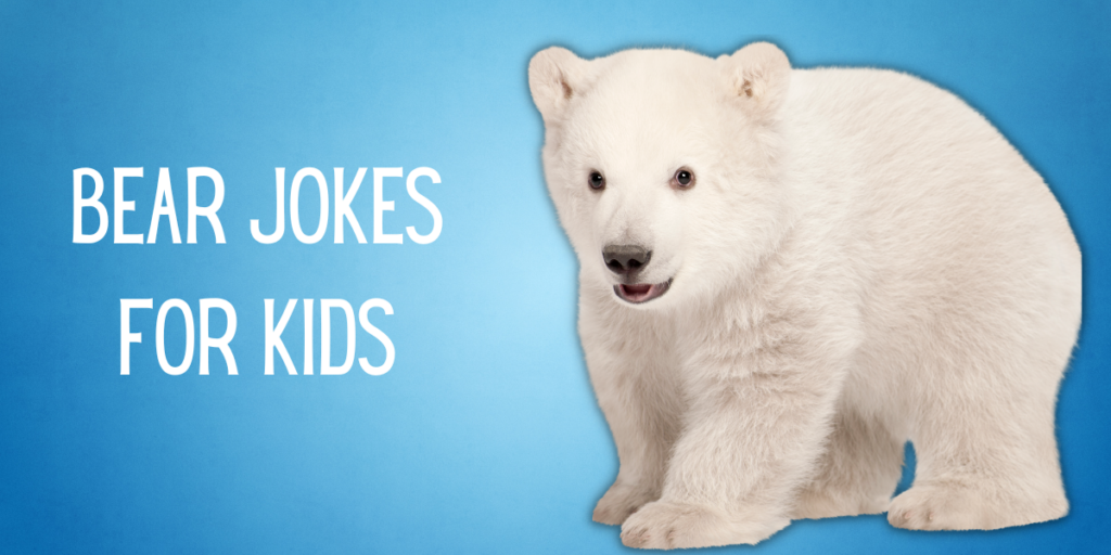 Bear Jokes for Kids