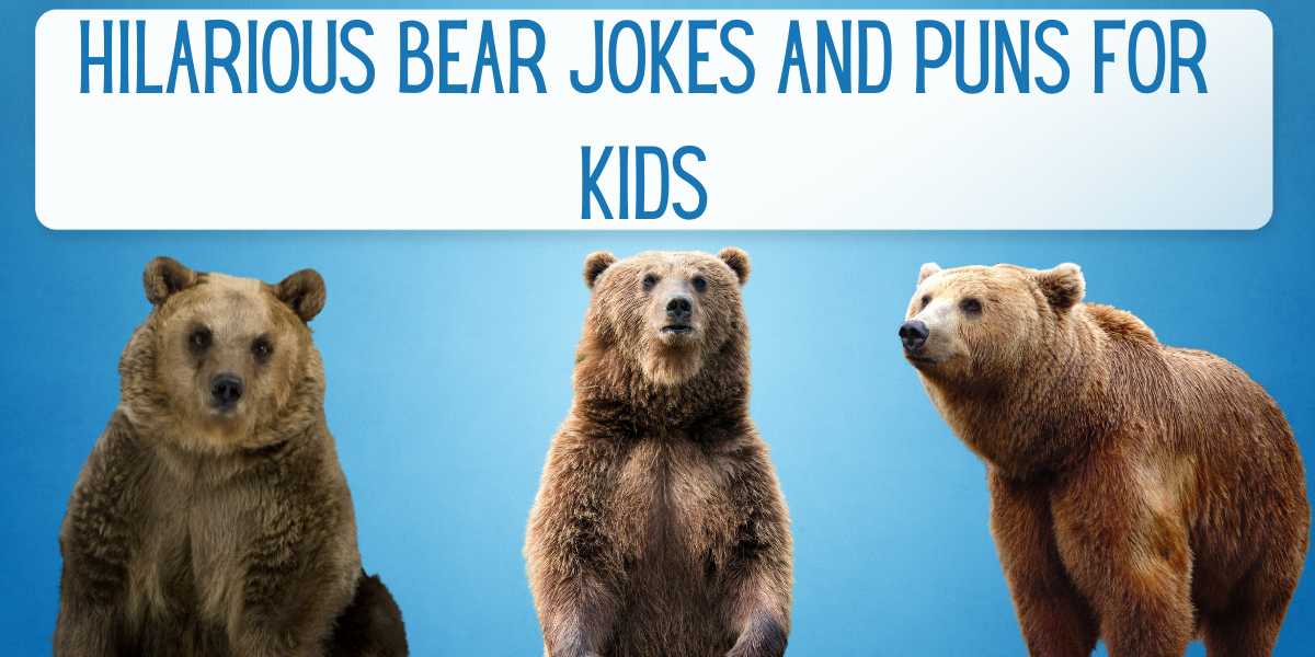 40 Hilarious Bear Jokes and Puns for Kids EverythingMom