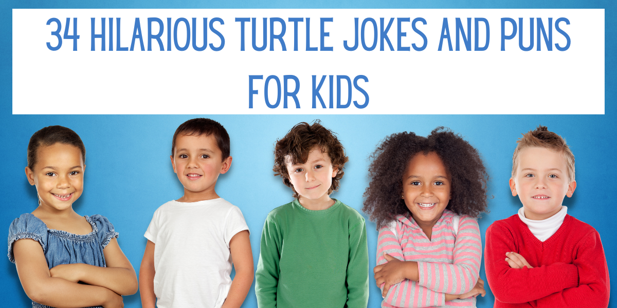 34 Hilarious Turtle Jokes And Puns For Kids EverythingMom