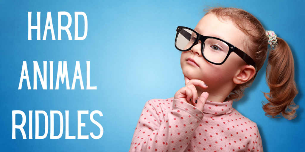 Hard Animal Riddles