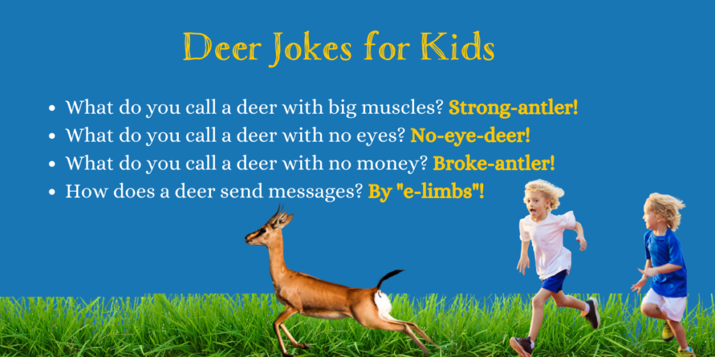 Deer Jokes for Kids