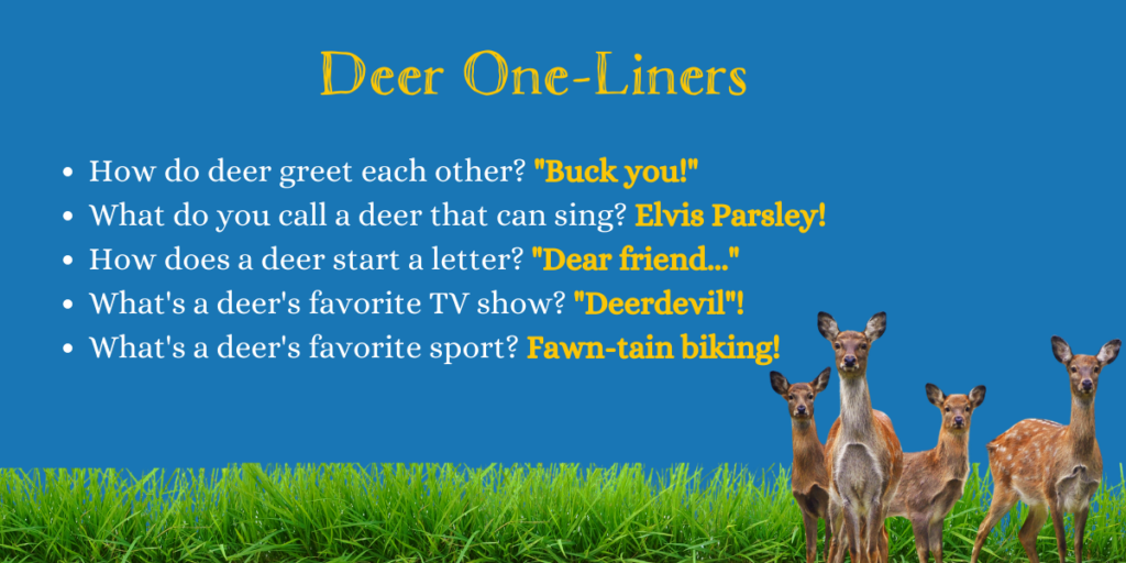 Deer One-Liners
