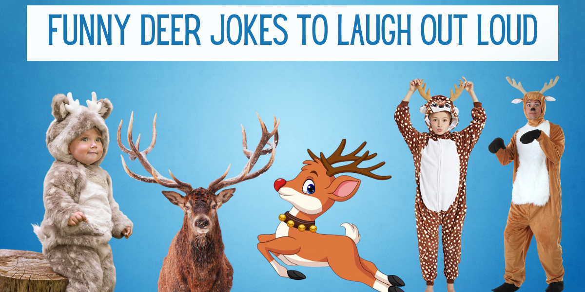 192 Funny Deer Jokes to Laugh Out Loud EverythingMom