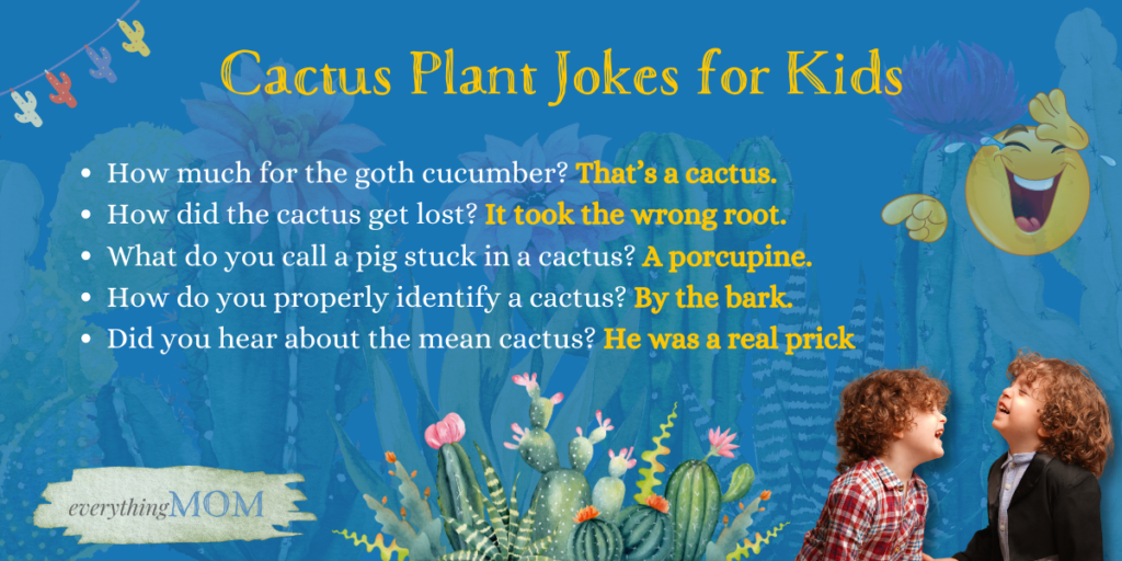 Cactus Plant Jokes for Kids