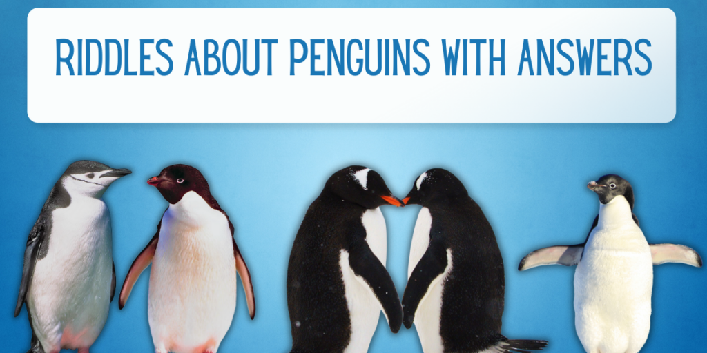 Penguin Riddle 32 Riddles About Penguins with Answers - EverythingMom