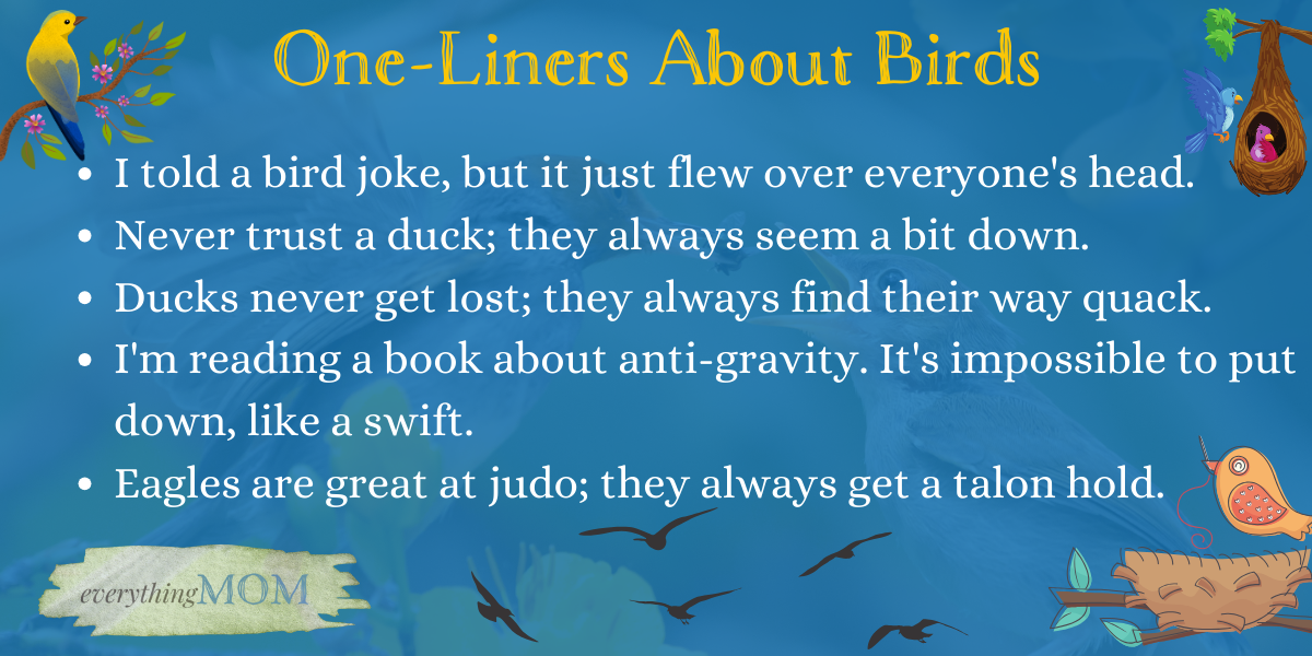 139 Hilarious Jokes About Birds That Will Have You Squawking