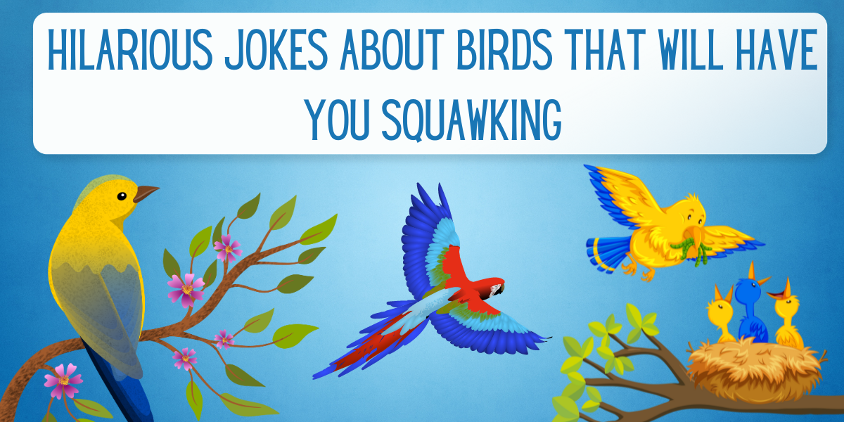 139 Hilarious Jokes About Birds That Will Have You Squawking