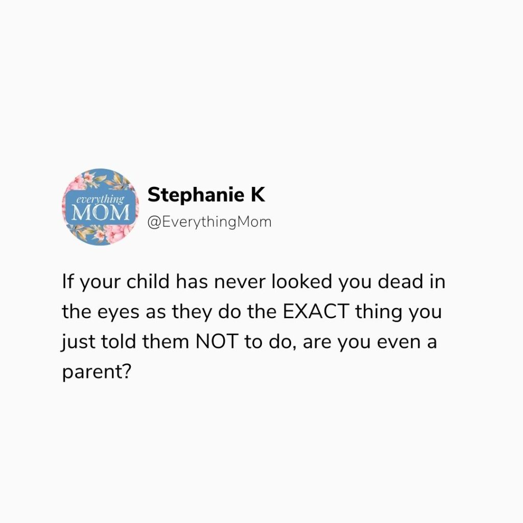 hilarious mom meme for  parents